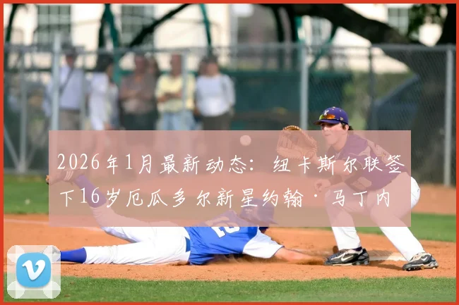 2026年1月最新动态：纽卡斯尔联签下16岁厄瓜多尔新星约翰·马丁内斯，转会费与球员资料深度分析
